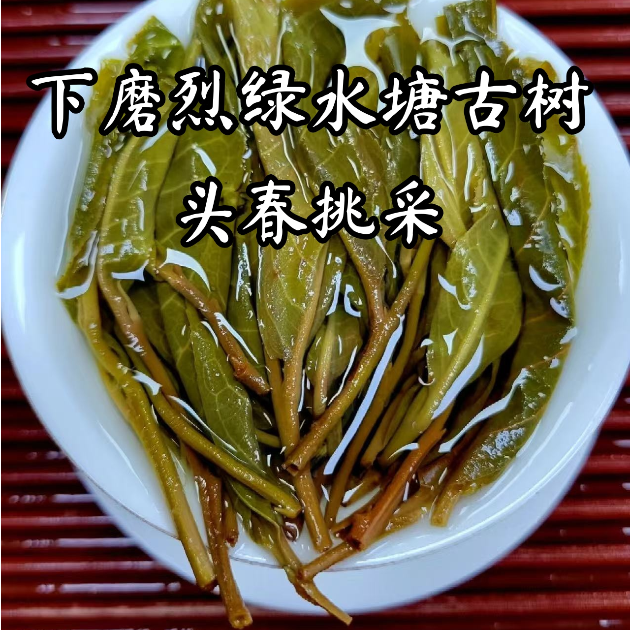 【 专供老茶客】下磨烈绿水塘300年古树核心产区头春挑采