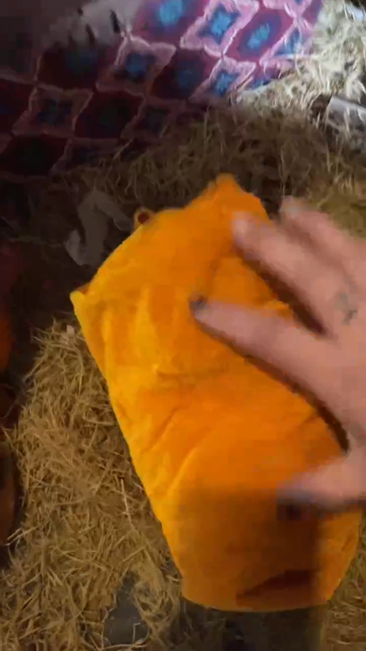 寿山石其他闪购链接寿山石（盛宁甄选)