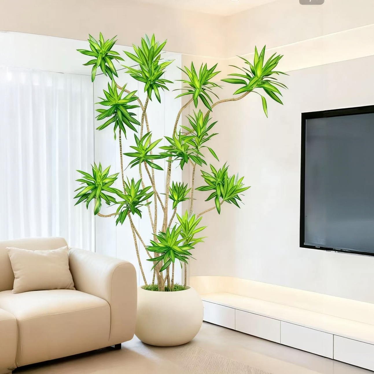 室内大型金心百合竹绿植盆栽适合客厅茶室办公室的真花