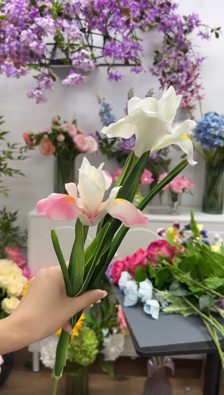 1枝白色1枝粉色鸢尾花花