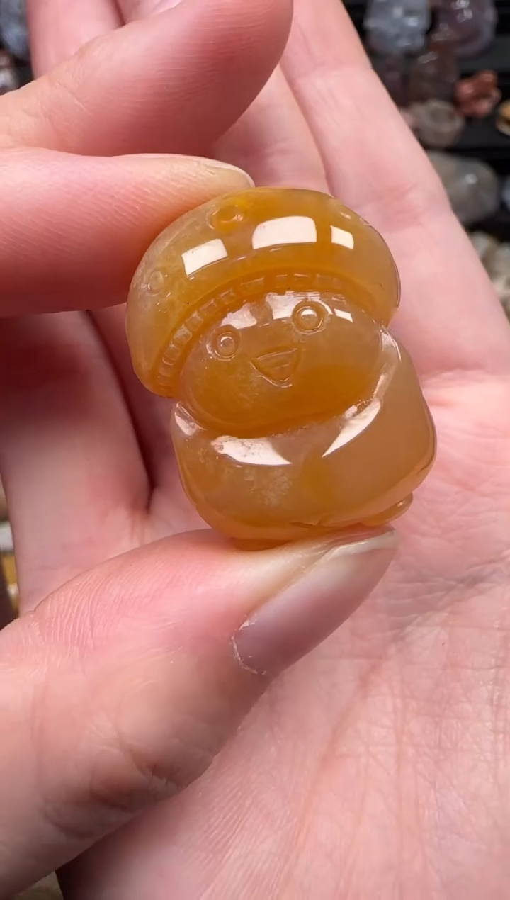 颈饰未镶嵌硅化珊瑚（珊瑚玉）171