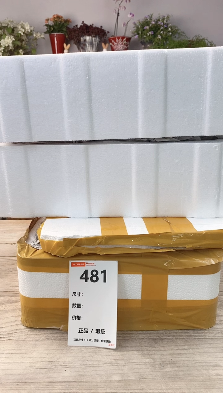 万**空小玩子花盆直播号481