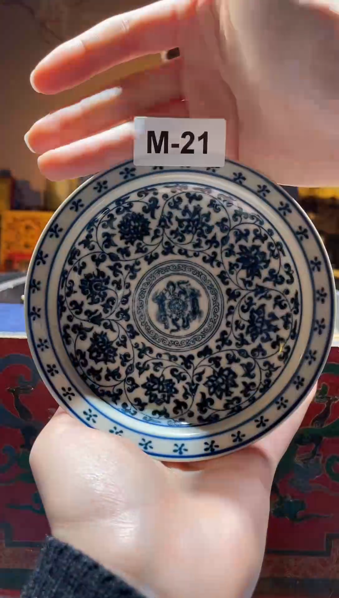 【闪购商品】碟M-21【按照编号拍，按编号发货】