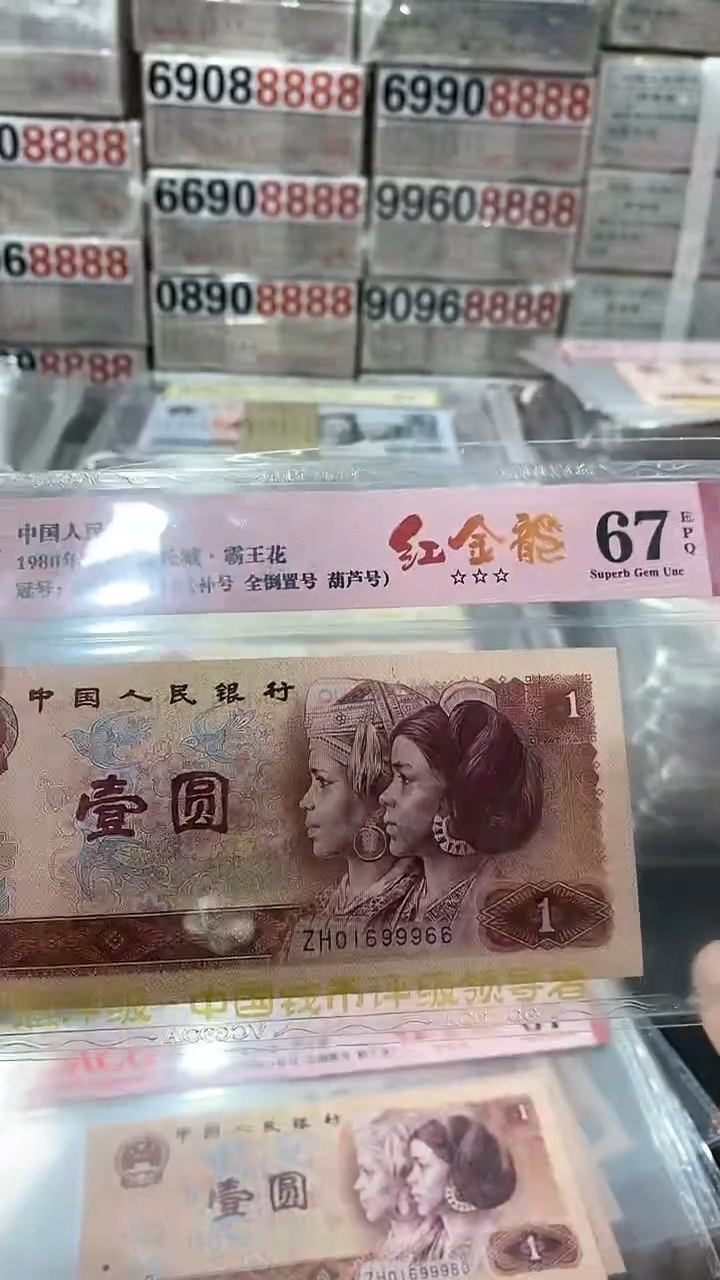 【闪购商品】801红金龙补号全倒置01699966