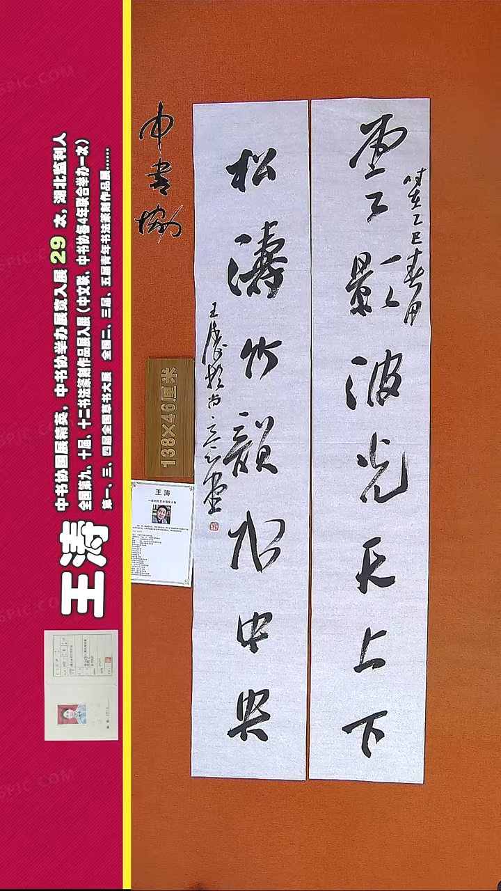 【闪购商品】书法188E王涛书法作品