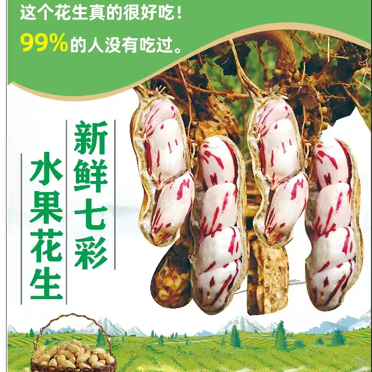 【云南七彩水果湿花生】农家自种 新鲜带壳颗粒饱满 口感脆甜