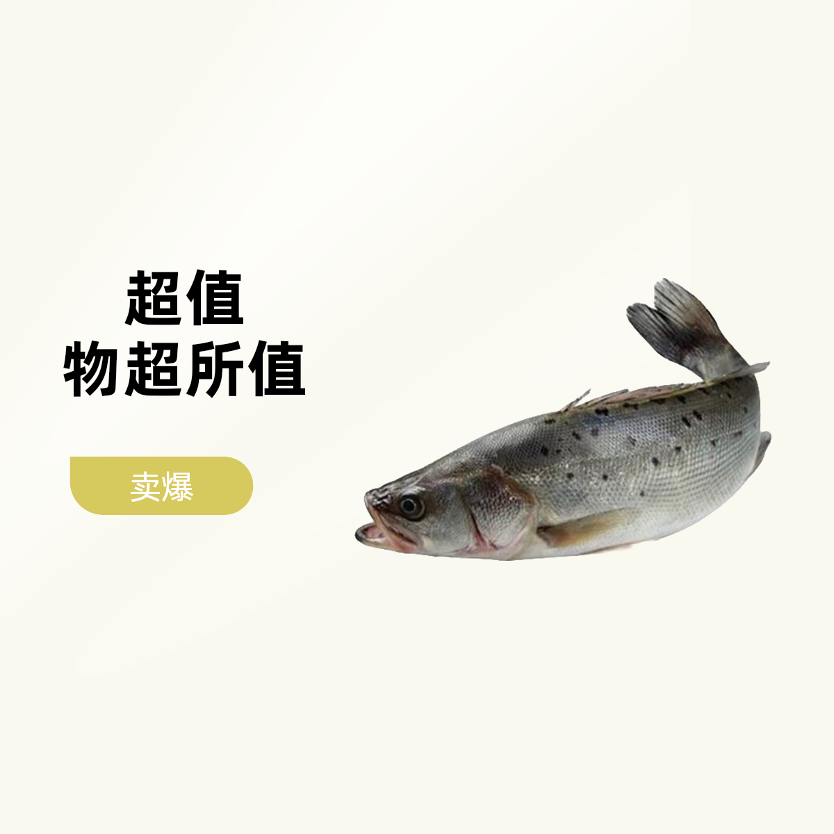 鲈鱼一条（约一斤）