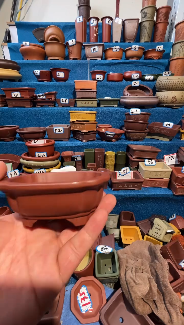 【闪购商品】紫砂紫砂花盆9.5*7.5*3