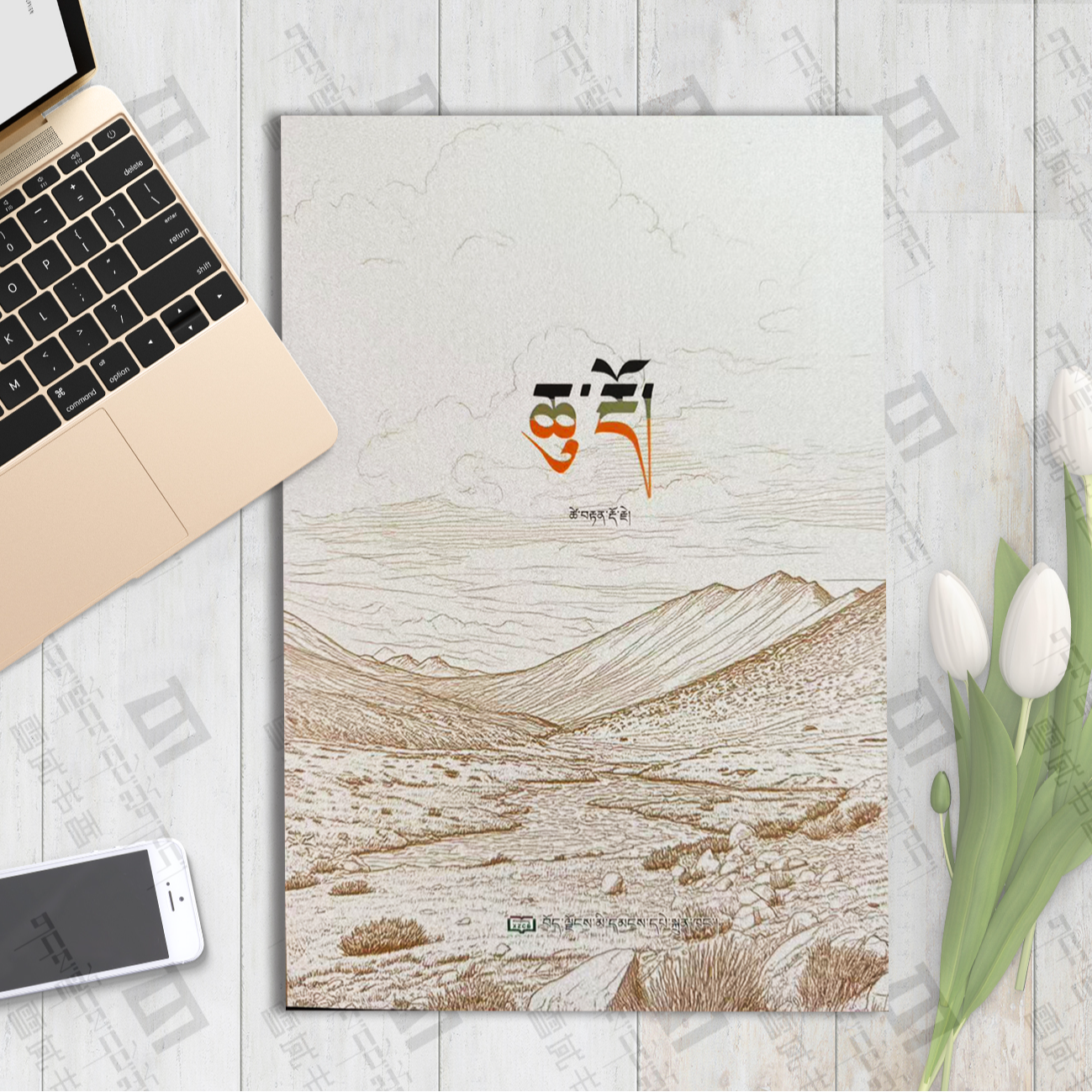 石头：长篇小说 次旦多吉著