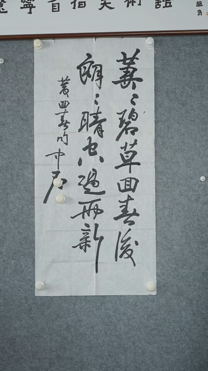 竖款【辽拍】欧阳先生-书法（4平尺）V240729-2-37