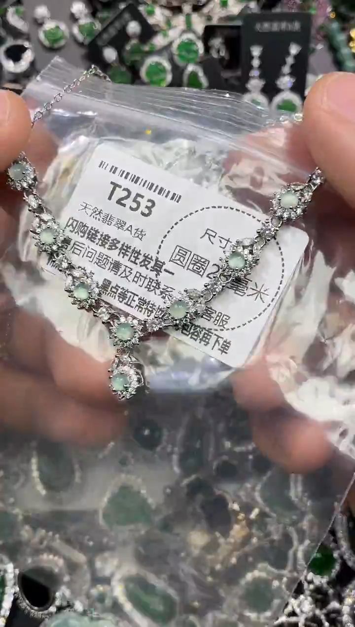 颈饰未镶嵌翡翠T253项链