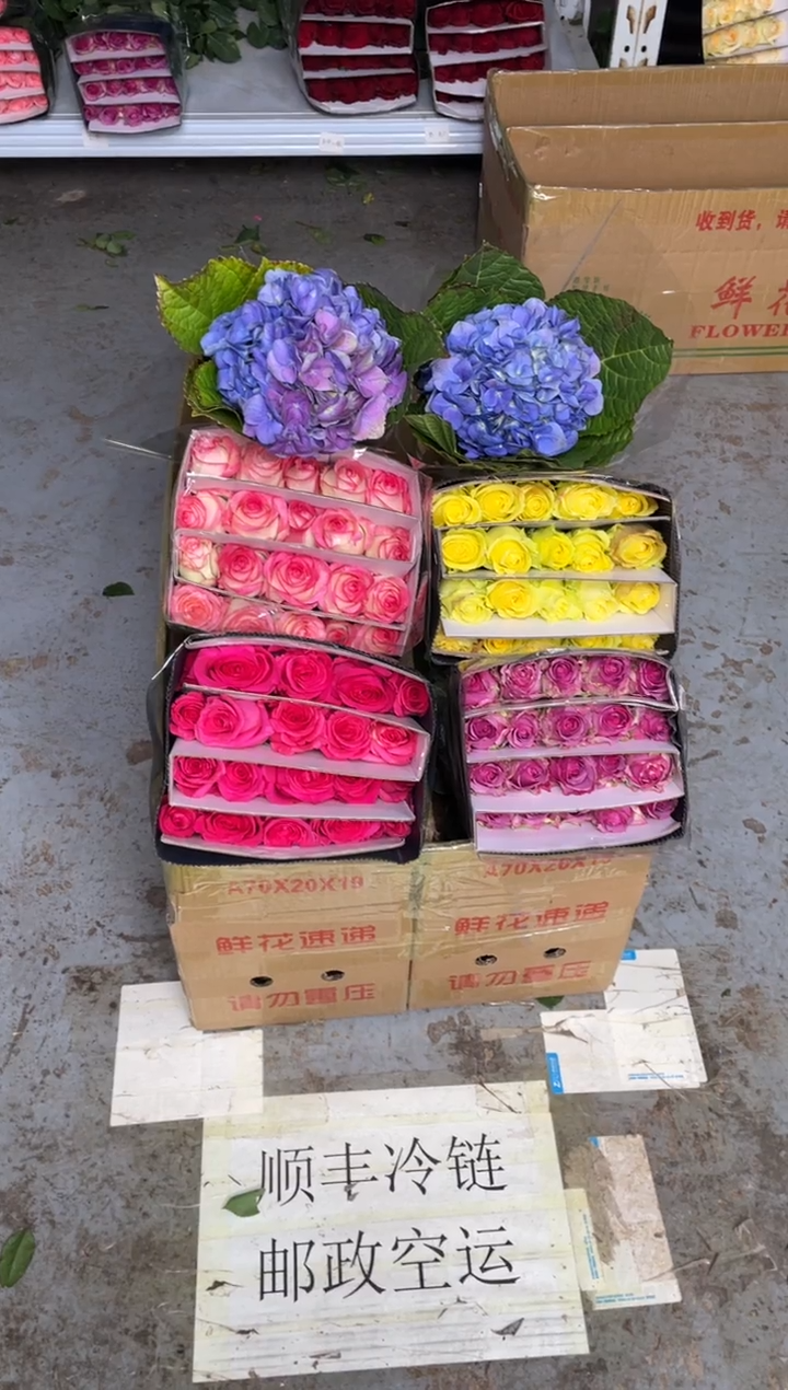 单头玫瑰40枝（任意2个品种）+绣球1枝（任意1枝）