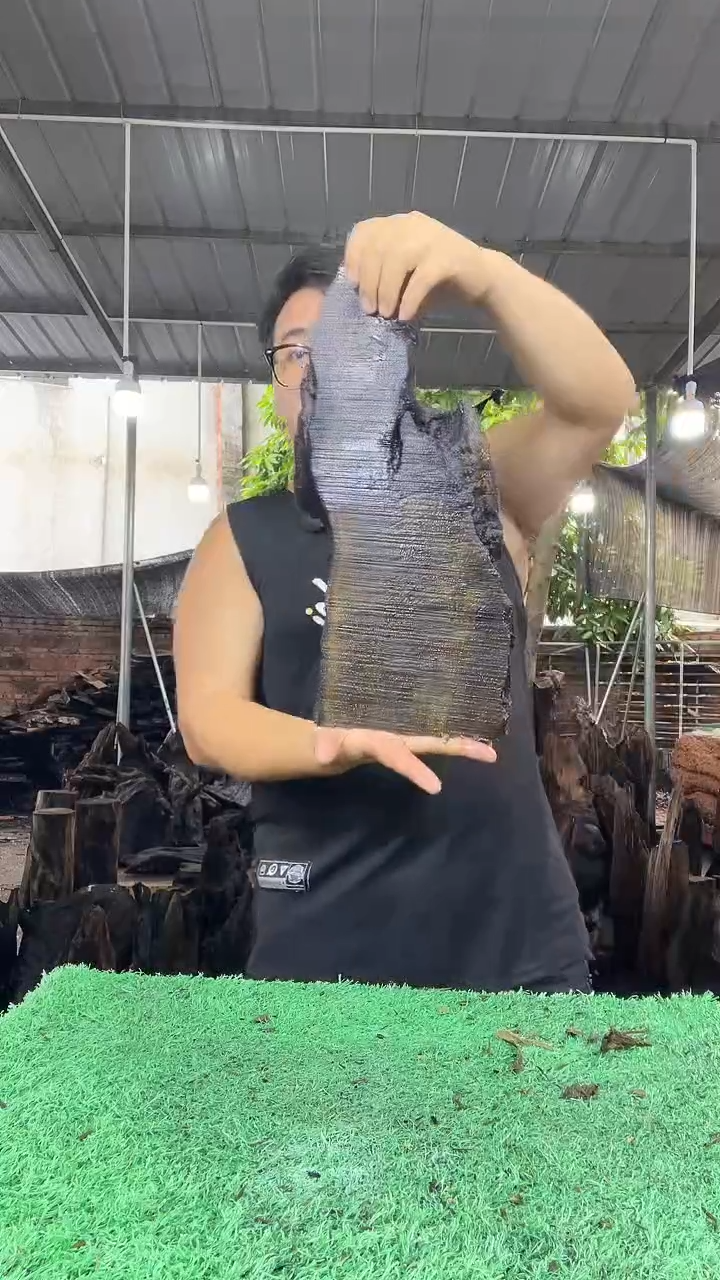 金丝楠小叶桢楠220