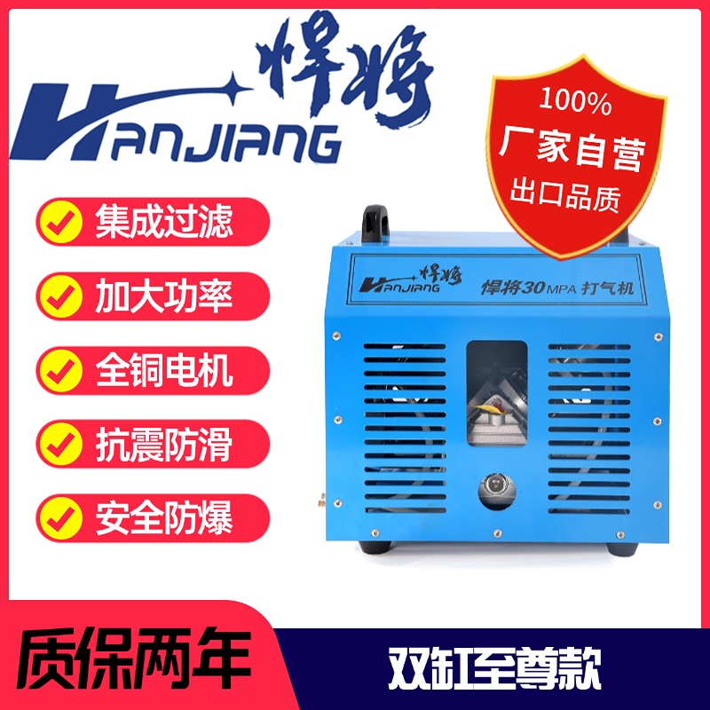 悍将30MPA双缸高压打气机至尊款
