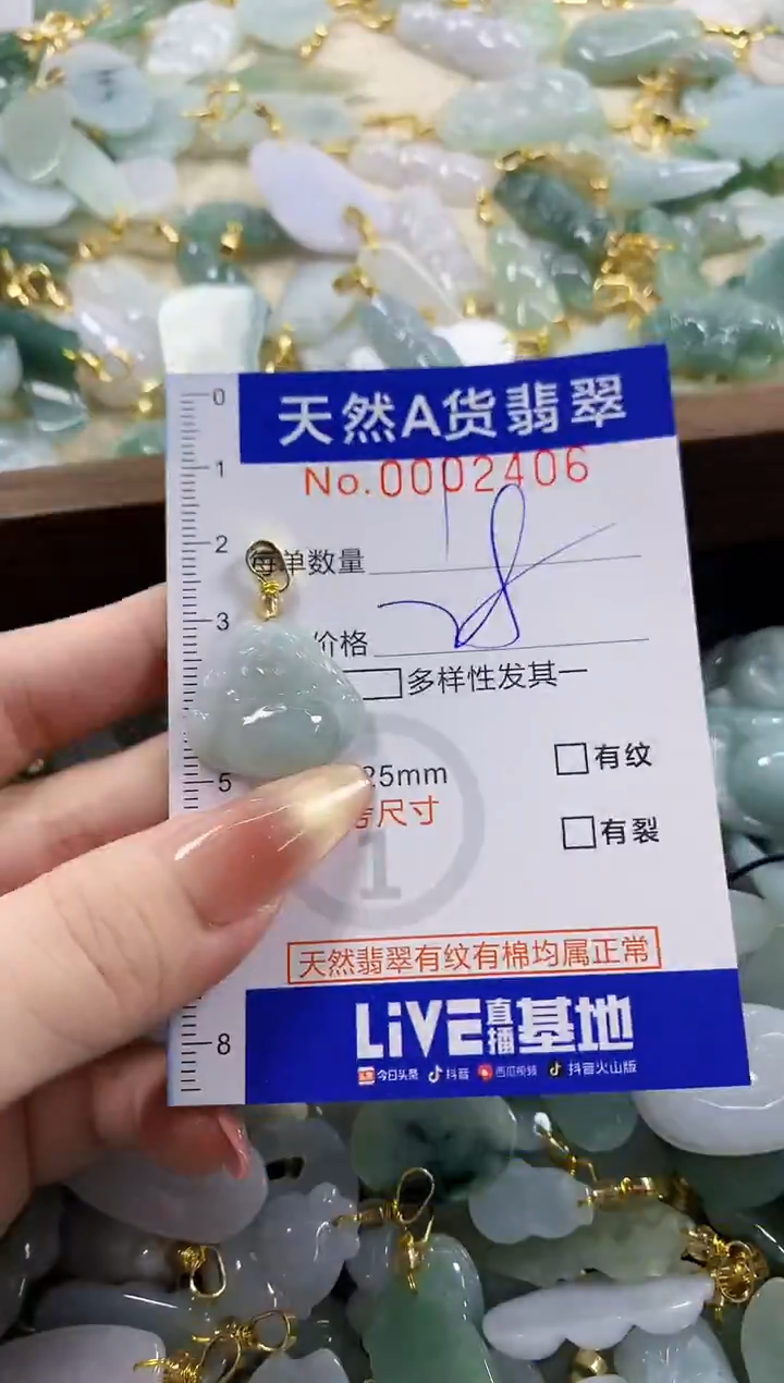 颈饰未镶嵌翡翠天然A货翡翠