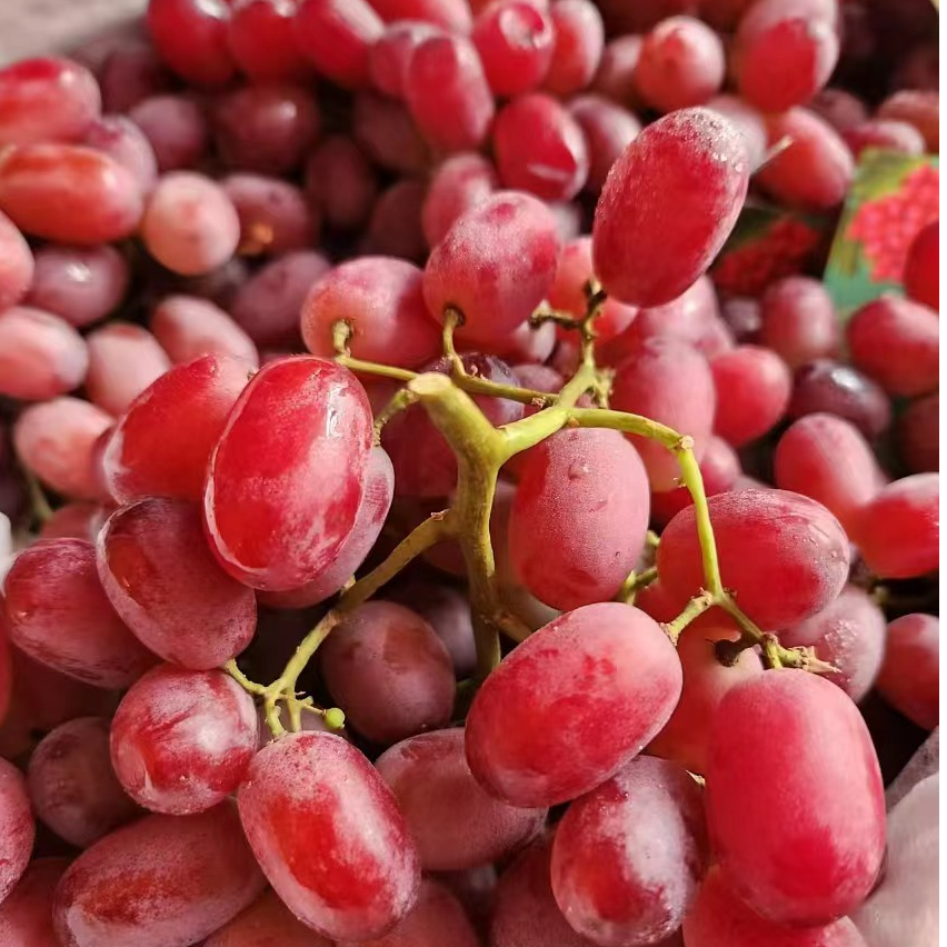 克伦生提子30.8元2斤左右（非整串）四川省