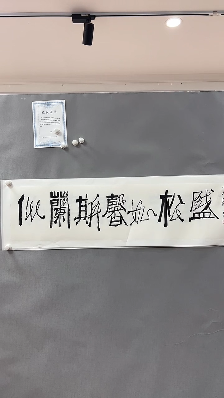 【闪购商品】书法雅艺典藏文化书法