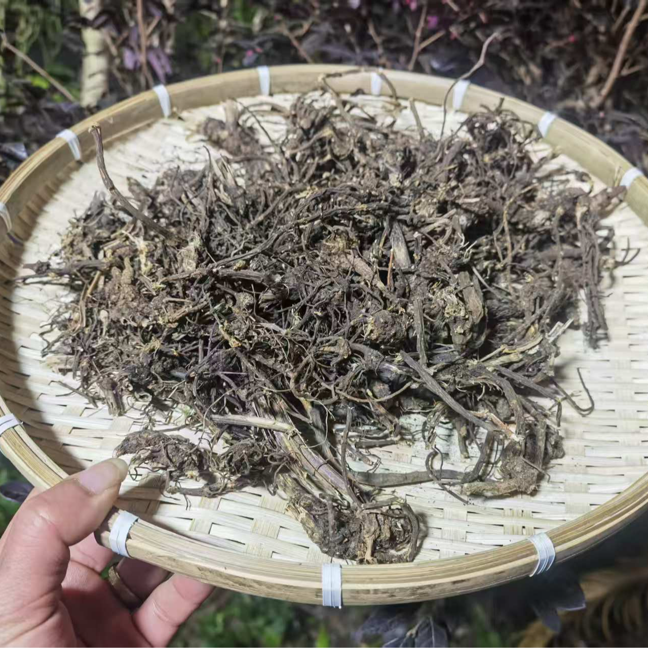 1【Y-川-芎】净含量100g-250g【阿徐现收】