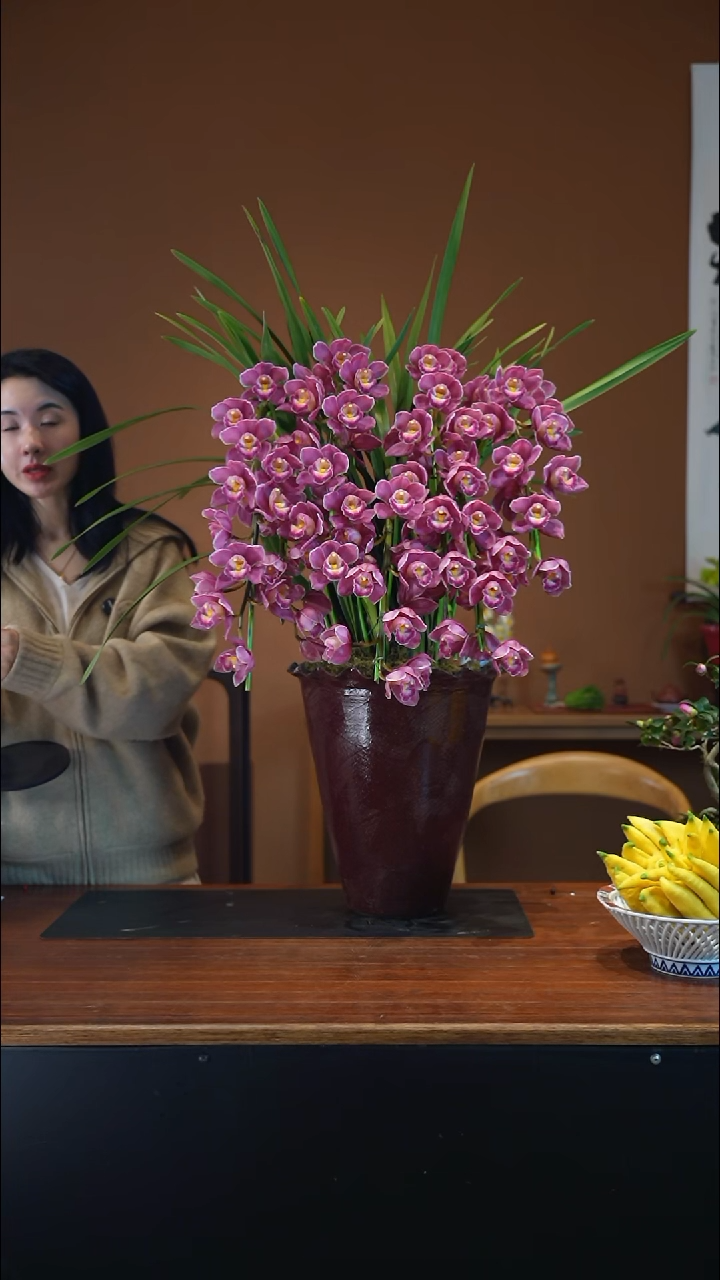 全部花朵绣球拱兰盆景盆景盆景