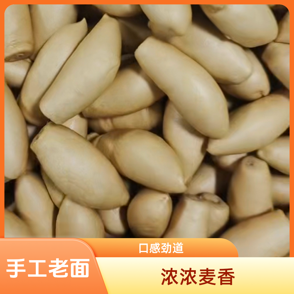 【手工老面】签子馒头全麦馒头  70面馒头营养面食无添加