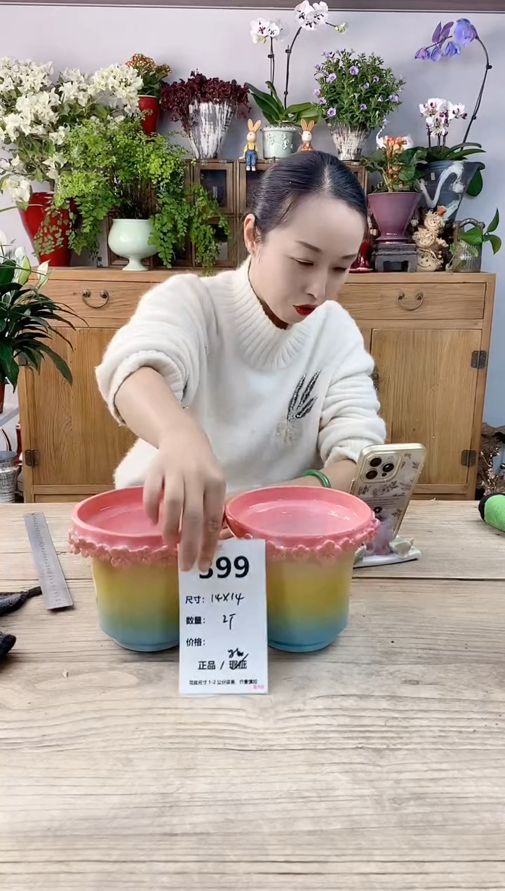 小玩子花盆直播编号399