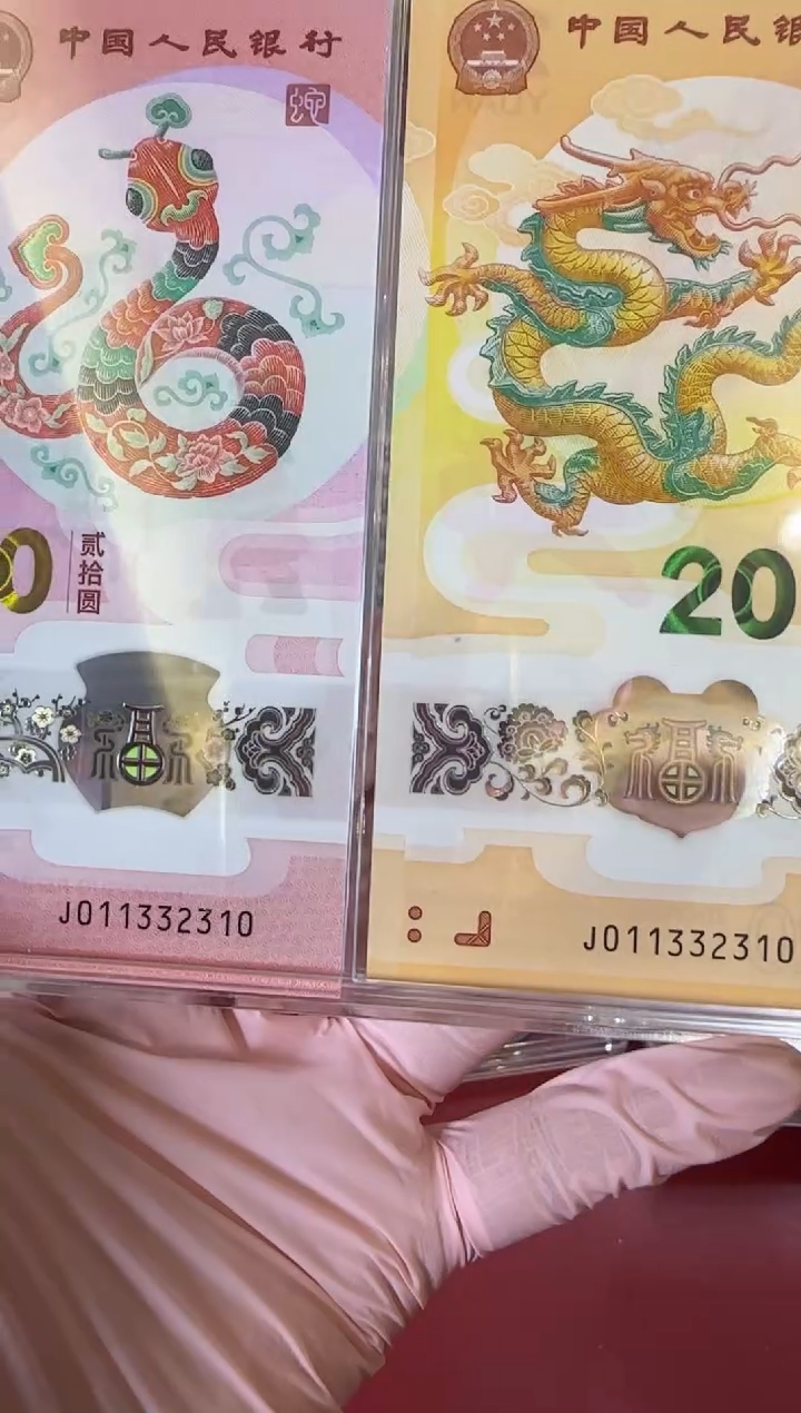 【闪购商品】塑料2025蛇钞 啊啊啊啊啊啊啊啊全同号裸