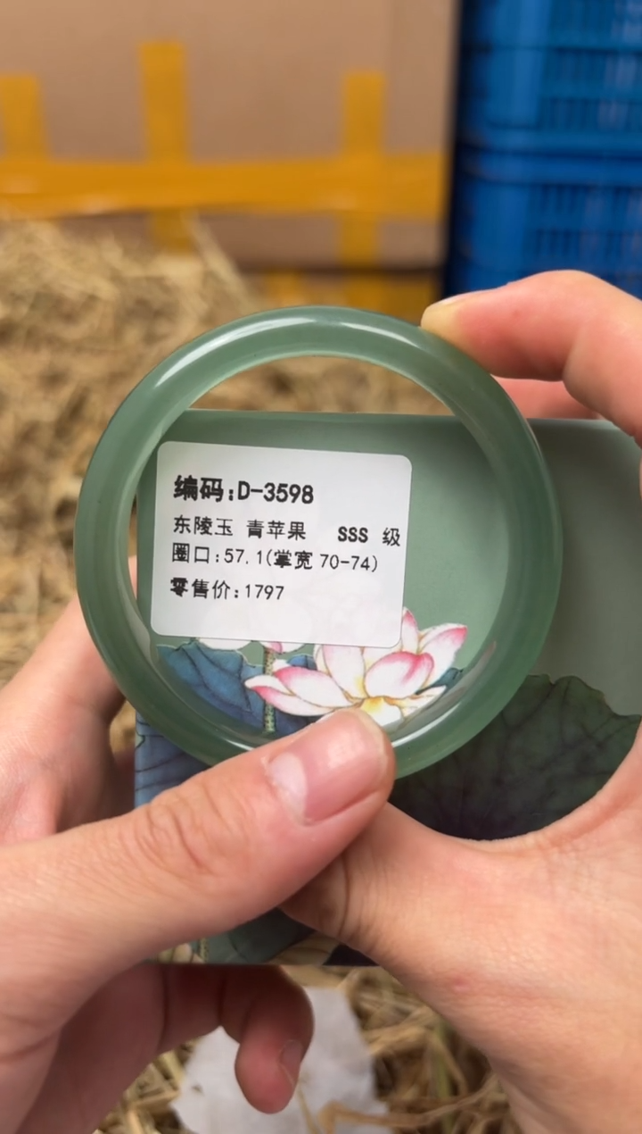 未镶嵌手镯石英质玉D-3598
