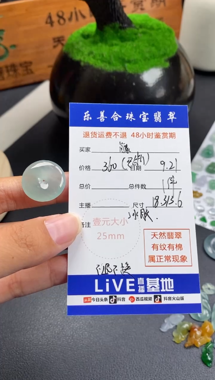 颈饰未镶嵌翡翠藤翡翠冰种平安扣