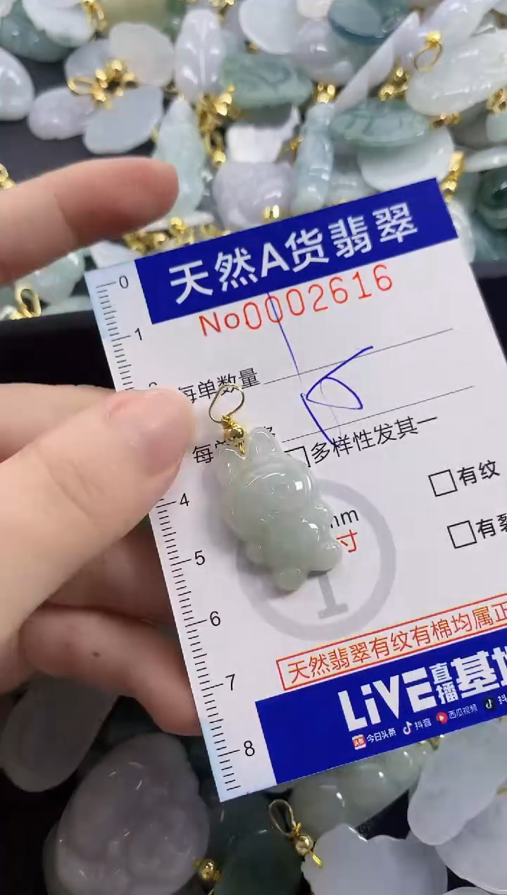 颈饰未镶嵌翡翠天然A货翡翠