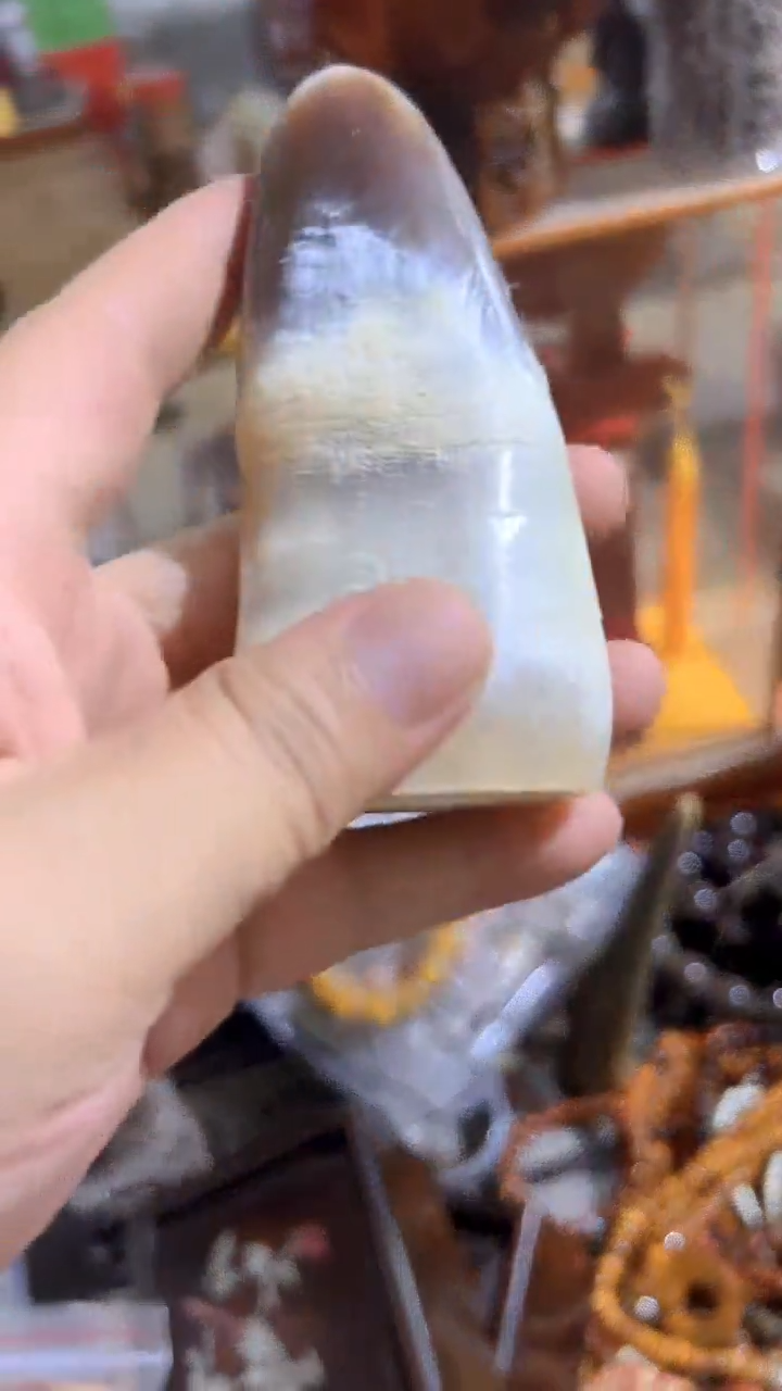 紫砂紫砂紫砂紫砂