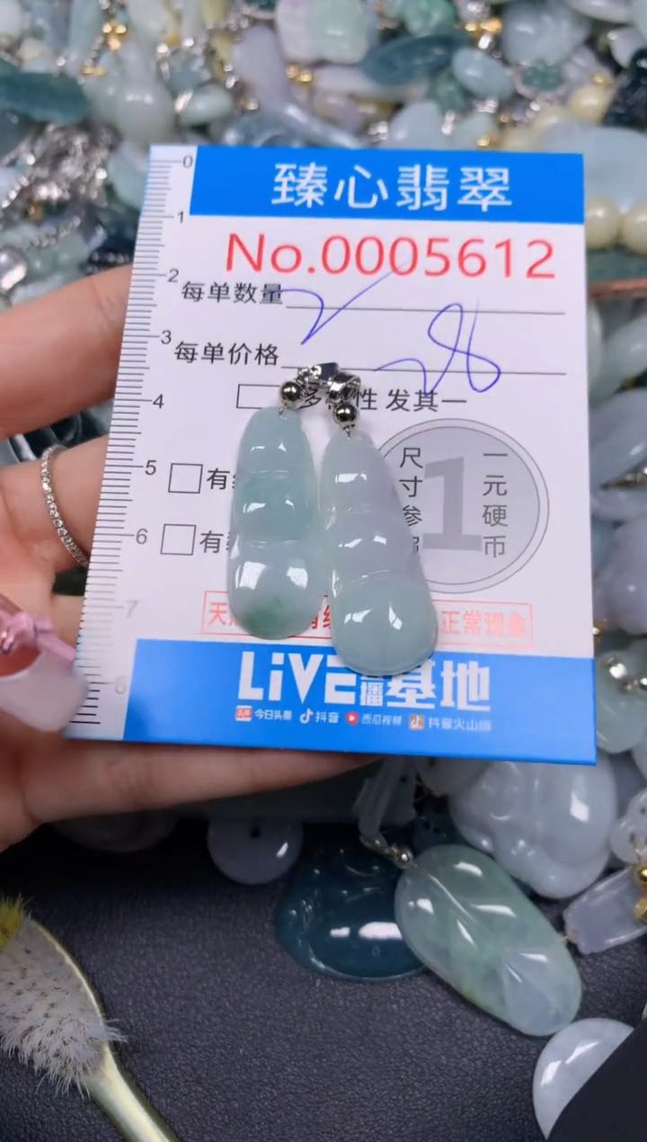 【闪购商品】翡翠颈饰未镶嵌含绳0005612