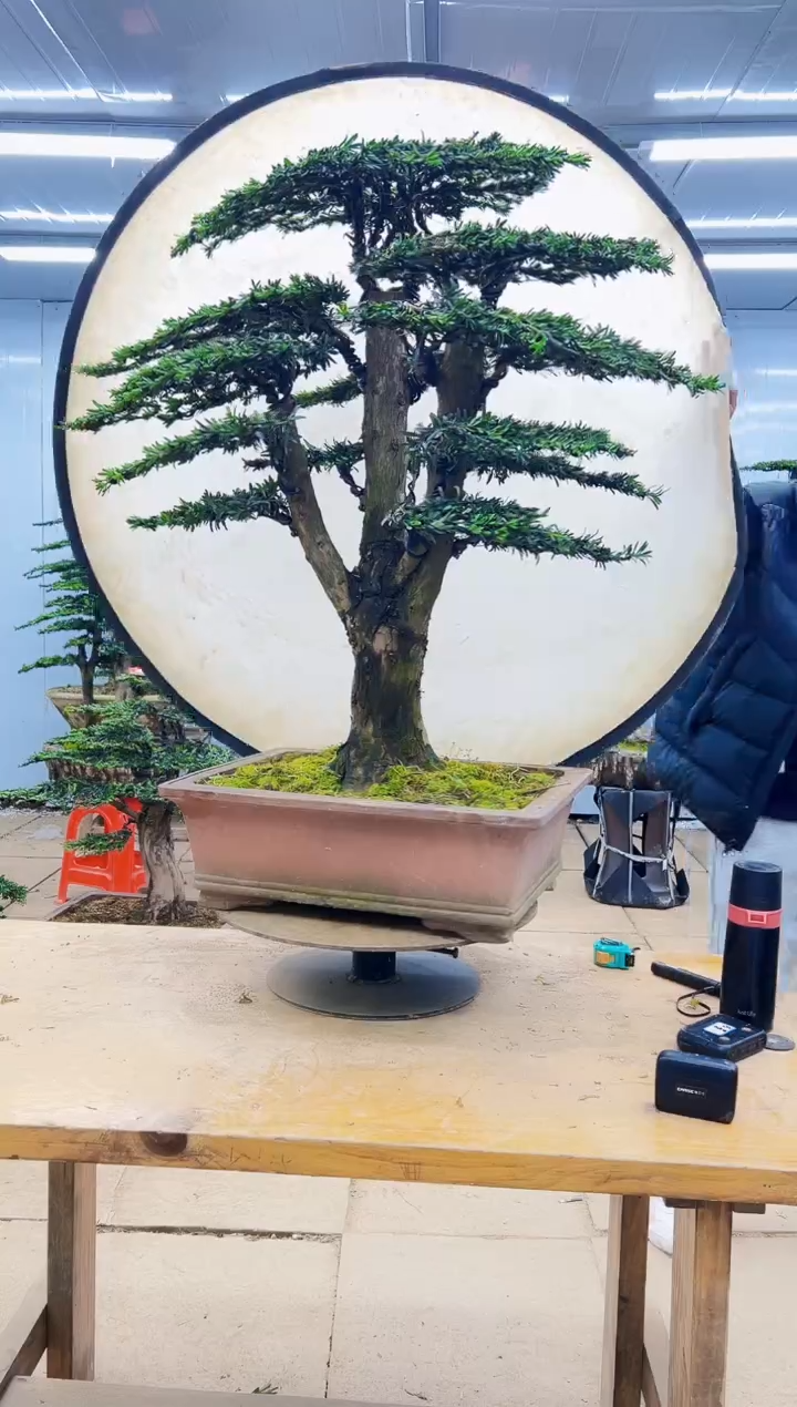 0000000000000000000000000