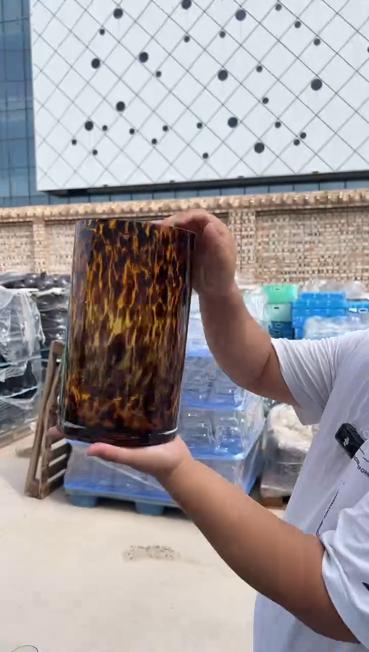 玻璃花瓶用于客厅桌面插花装饰
