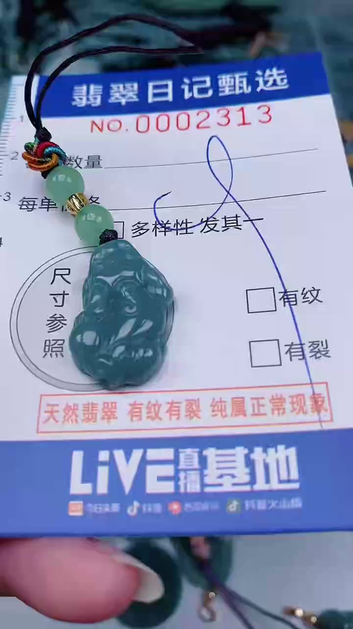 翡翠未镶嵌颈饰00002313