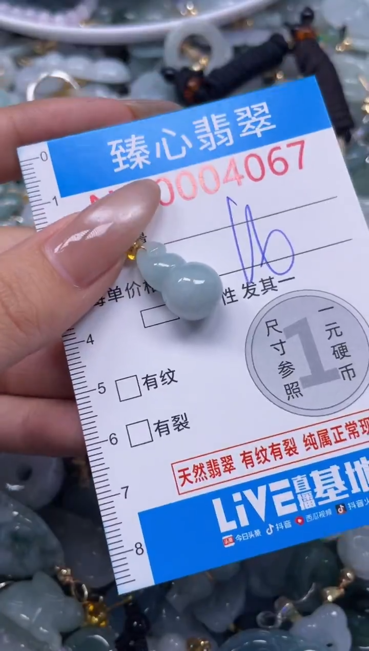 颈饰未镶嵌翡翠4067