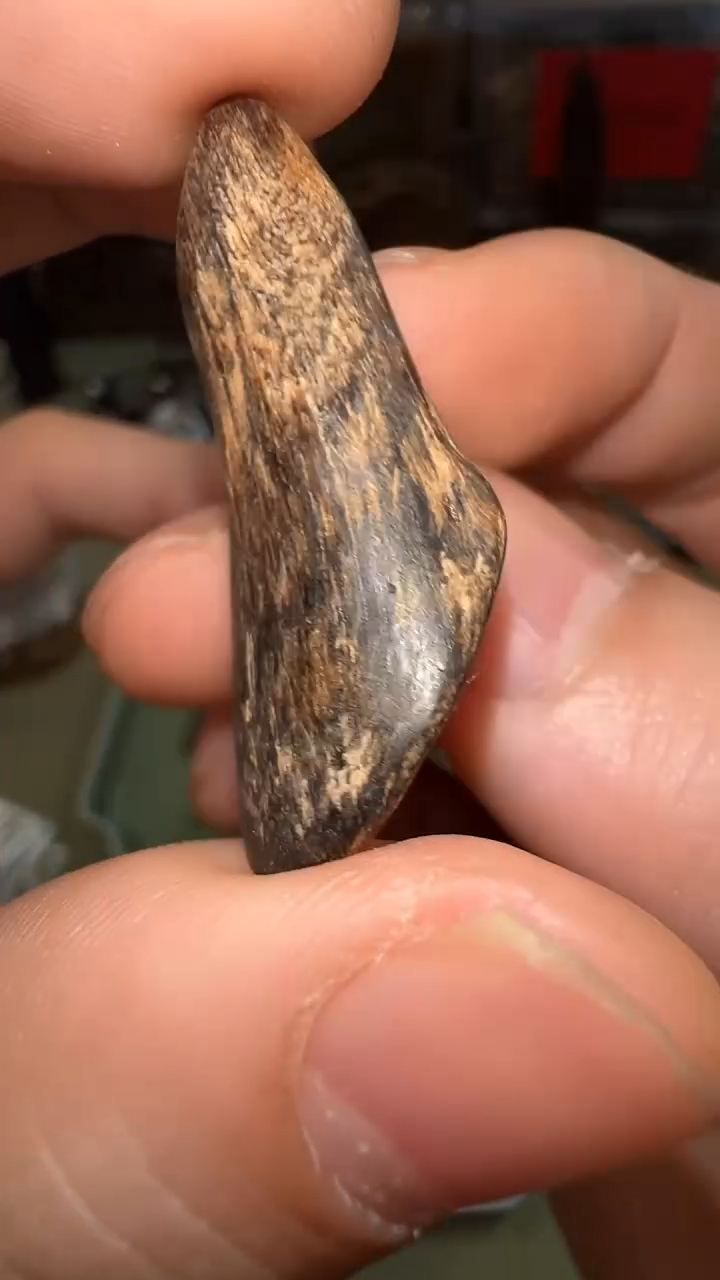 唉**呀文莱沉水原料吊坠2.5g+