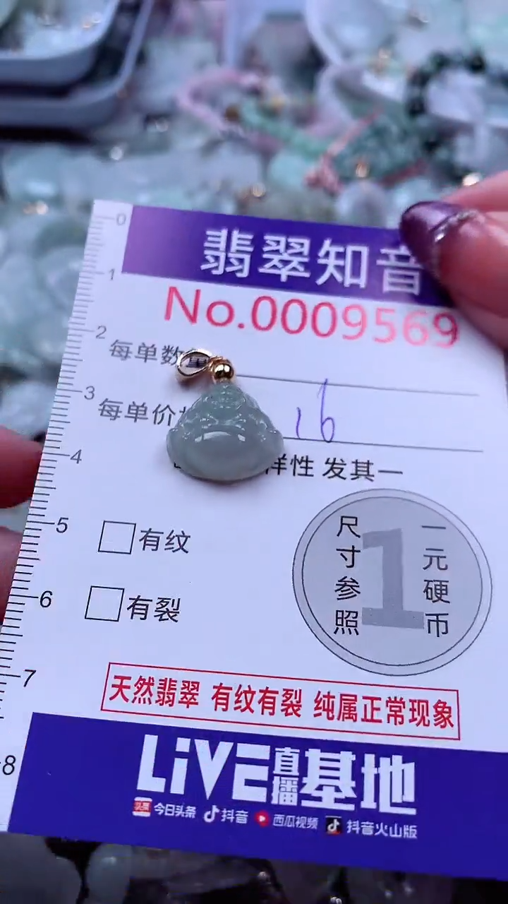 翡翠未镶嵌吊坠(不含链)9569