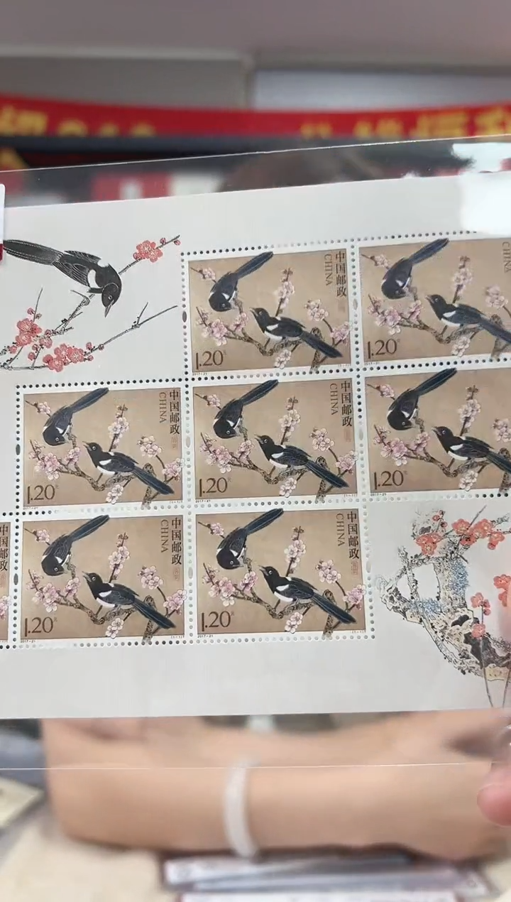 喜鹊 小版 RCG评级