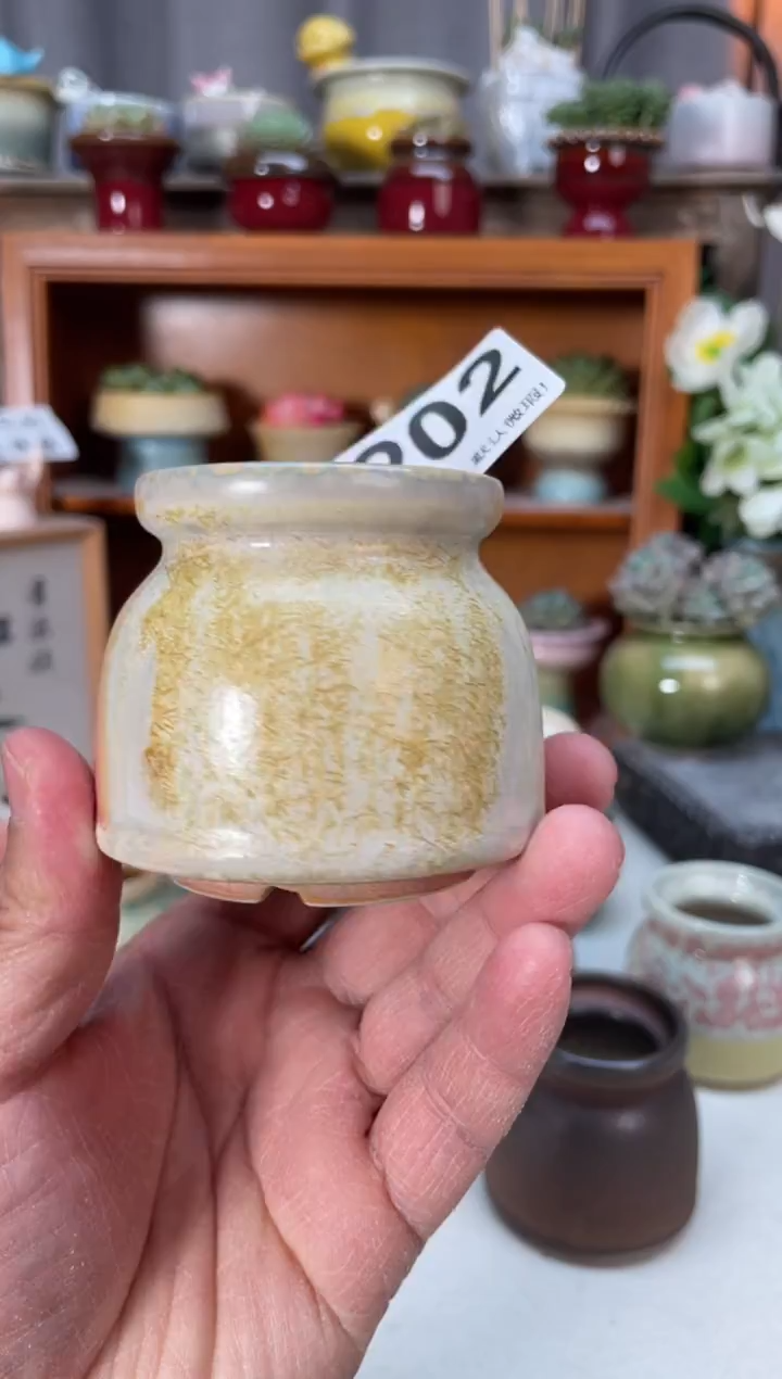 瓷片时****转202小芳直播编号