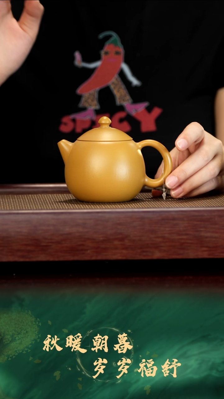 茶壶紫砂紫砂壶福利23