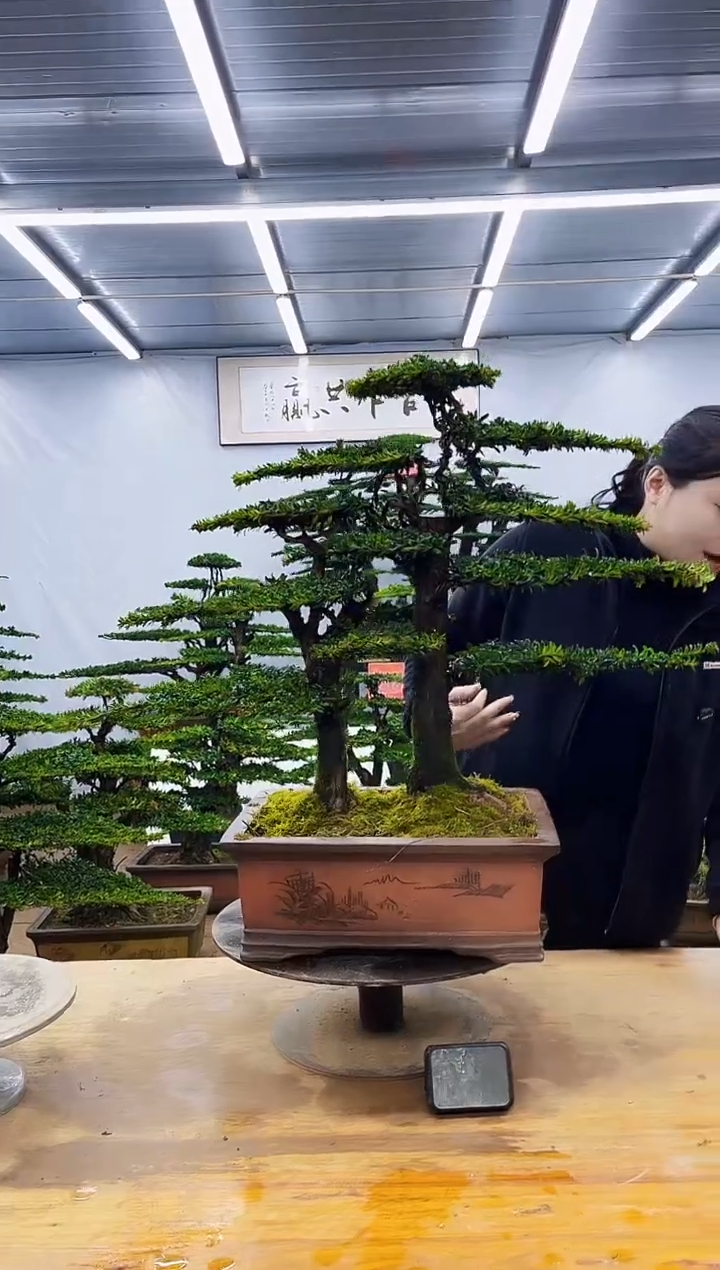 无花朵一物一拍，所见即所得
