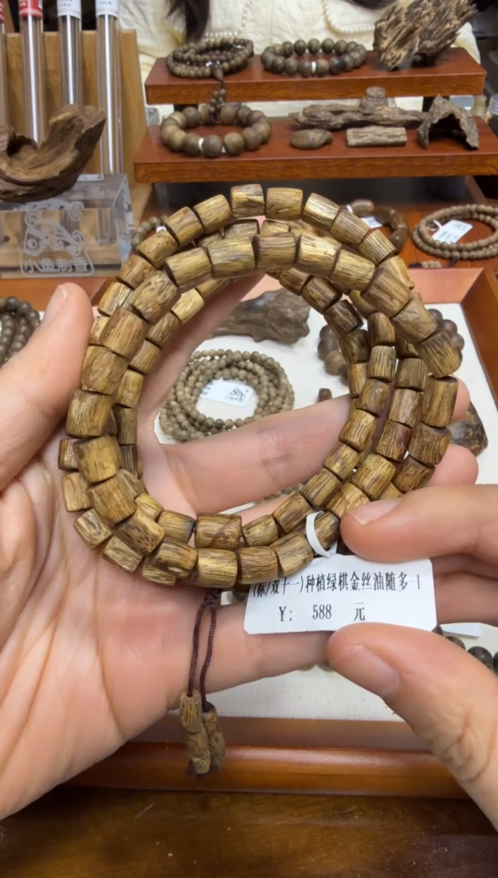 种植绿棋金丝油随多 -1