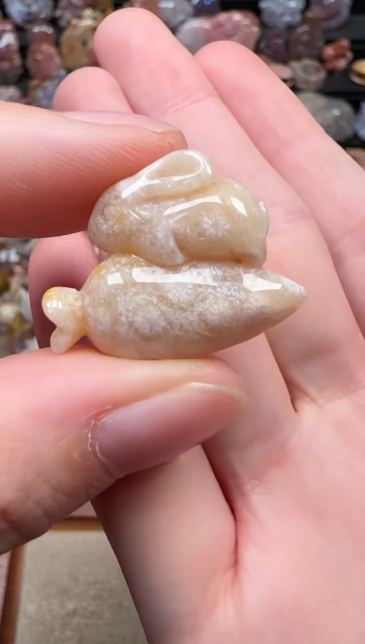 颈饰未镶嵌硅化珊瑚（珊瑚玉）486