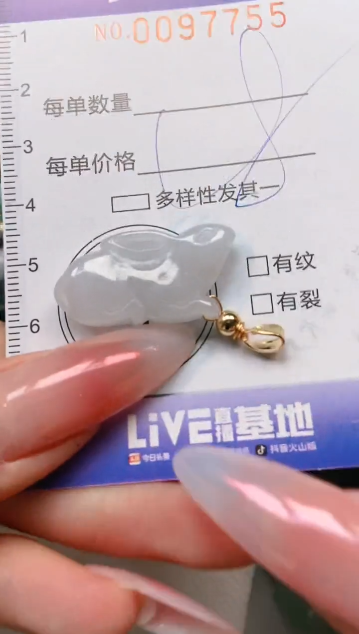【闪购商品】翡翠颈饰未镶嵌闪购0097755