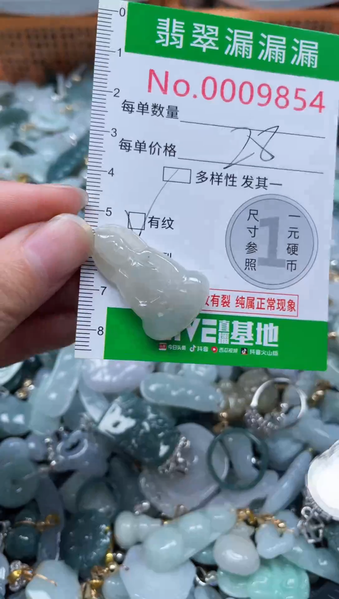 颈饰未镶嵌翡翠9854