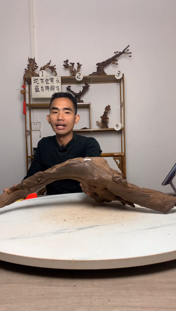 彼***飞鱼缸造景沉木摆件