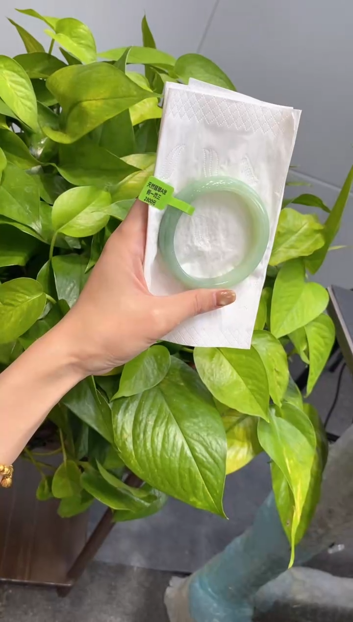 未镶嵌手镯翡翠000075380