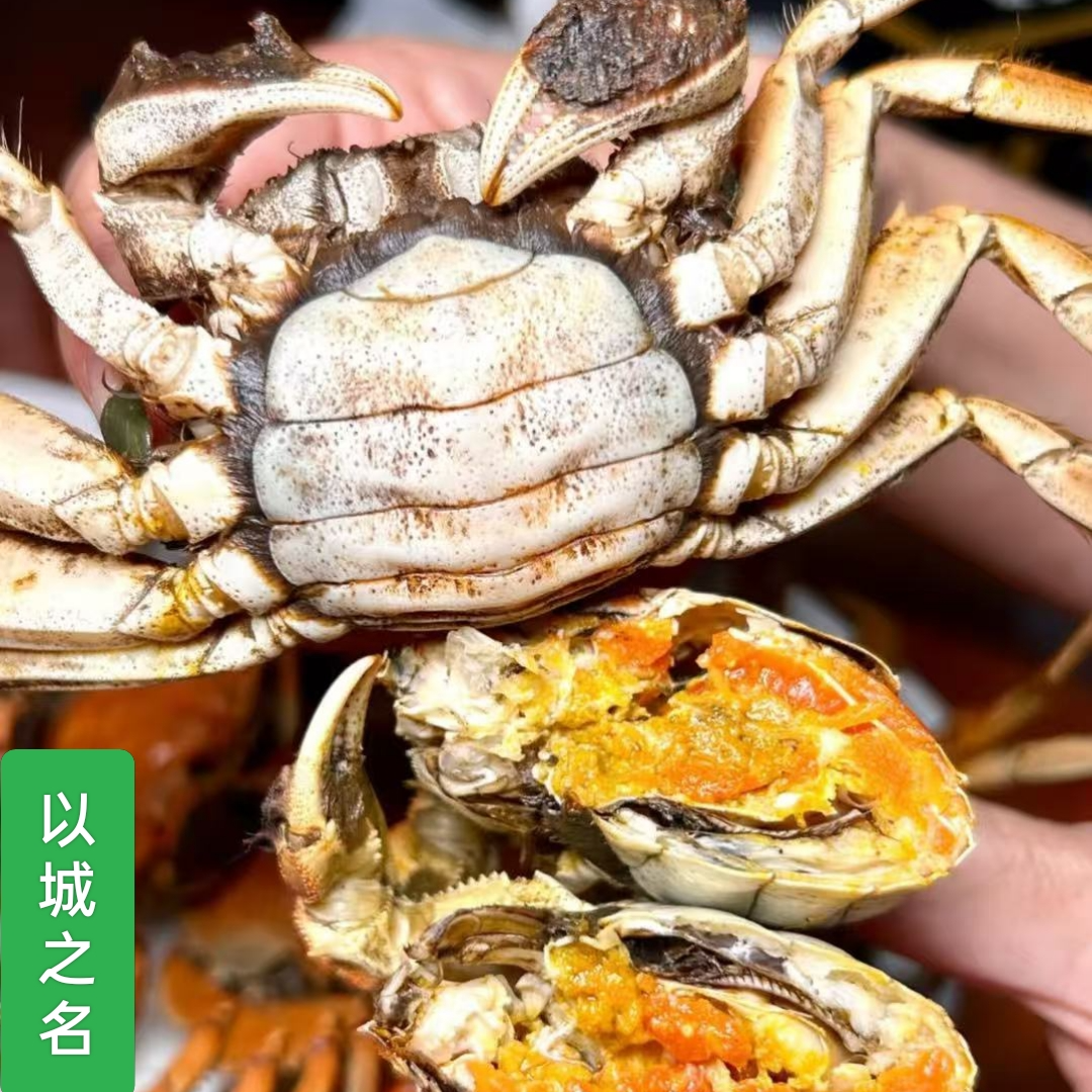 【活蟹】正宗盘锦稻田蟹 全母蟹1.3-1.6两/只2斤-3斤 顺丰包邮