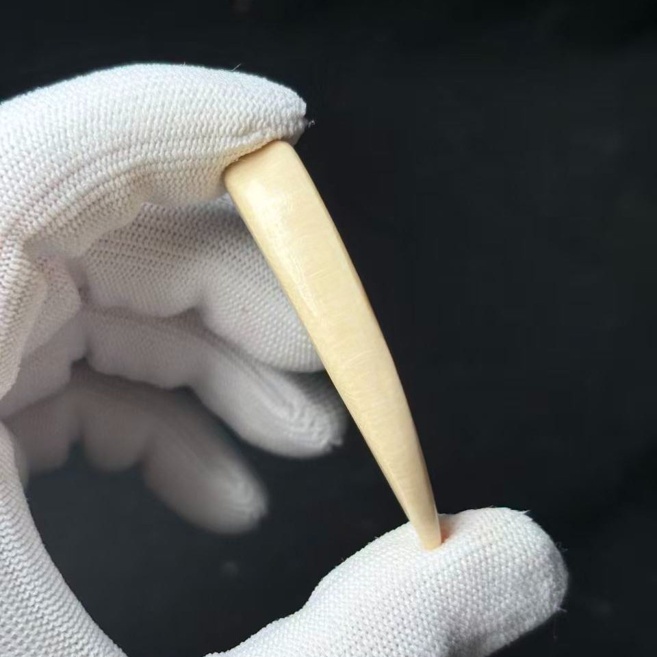丰骨「猛犸象牙·牙尖」Y433 46*9mm 材质保真 假一罚四