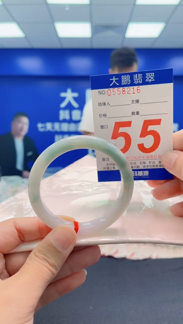 未镶嵌手镯翡翠AAAAAAAAA